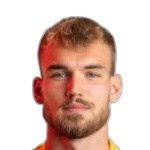Давид Людвичек